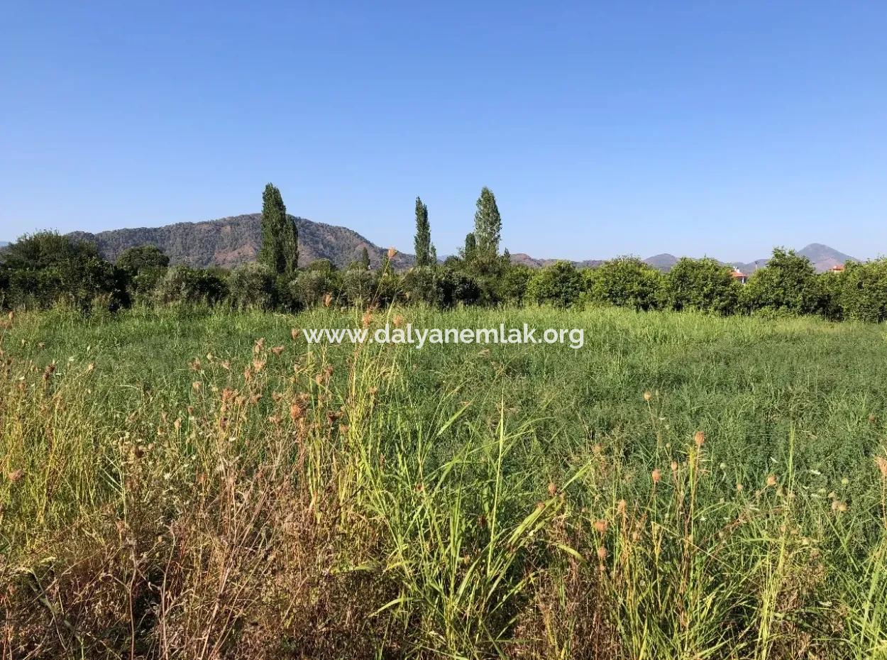Land For Sale In The Center 891M2 Land For Sale