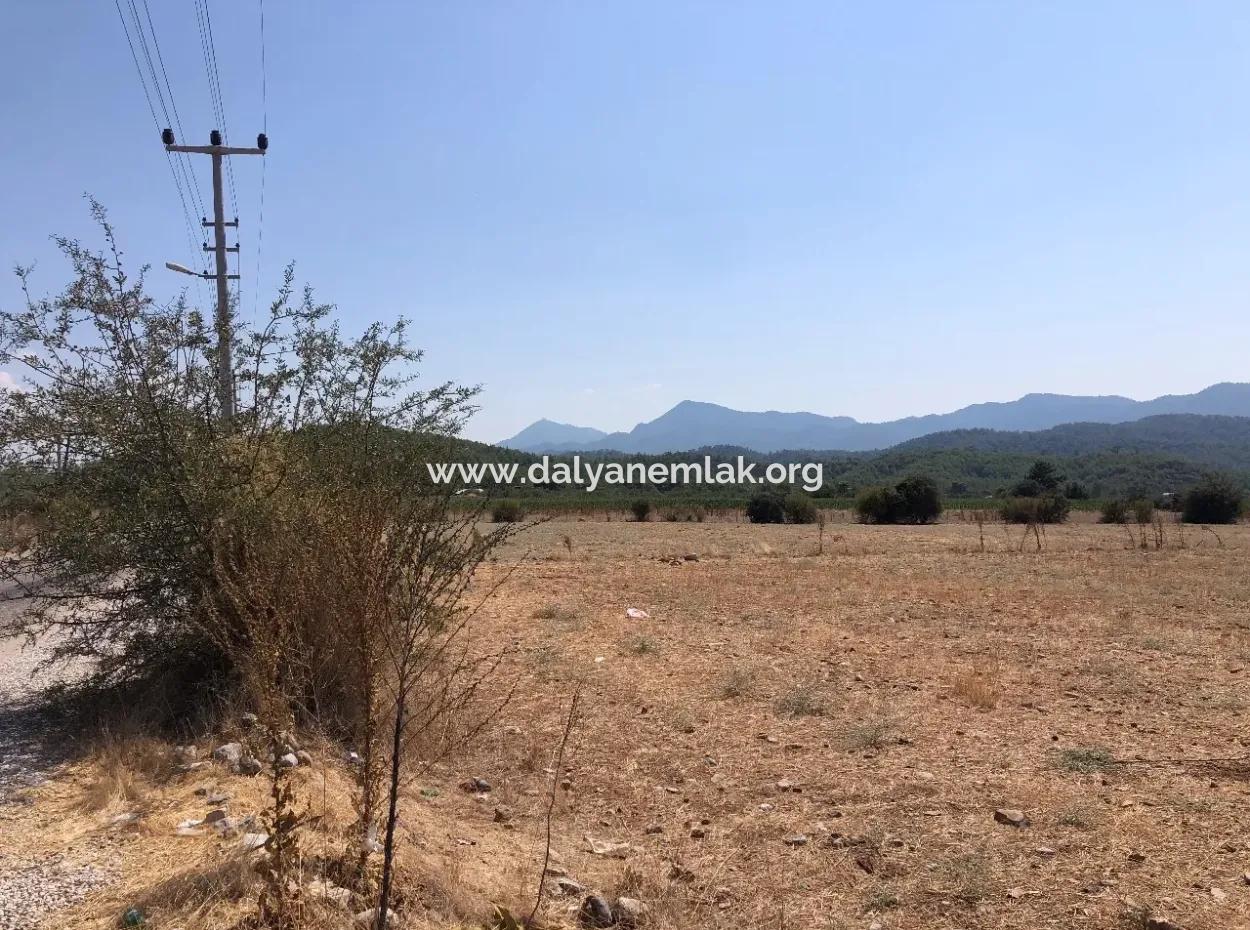 11.227M2 Land For Sale With Lake Views In Köyceğiz Zeytinalanı