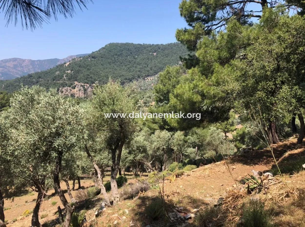 7034M2 Field For Sale With Sea View In Çandir