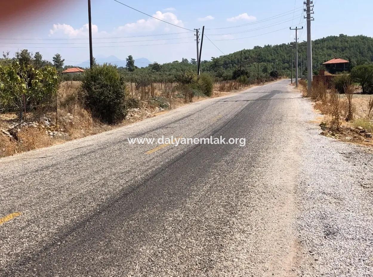 11.227M2 Land For Sale With Lake Views In Köyceğiz Zeytinalanı