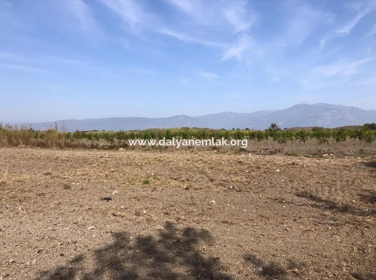 Land For Sale In Esköy 8500M2 Field Land For Sale