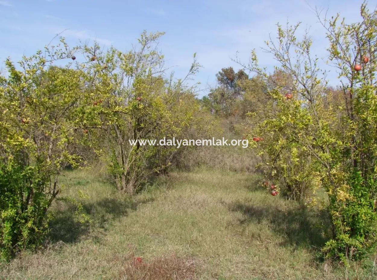 Güzelyurt Land For Sale Village Built 6670M2 Land For Sale