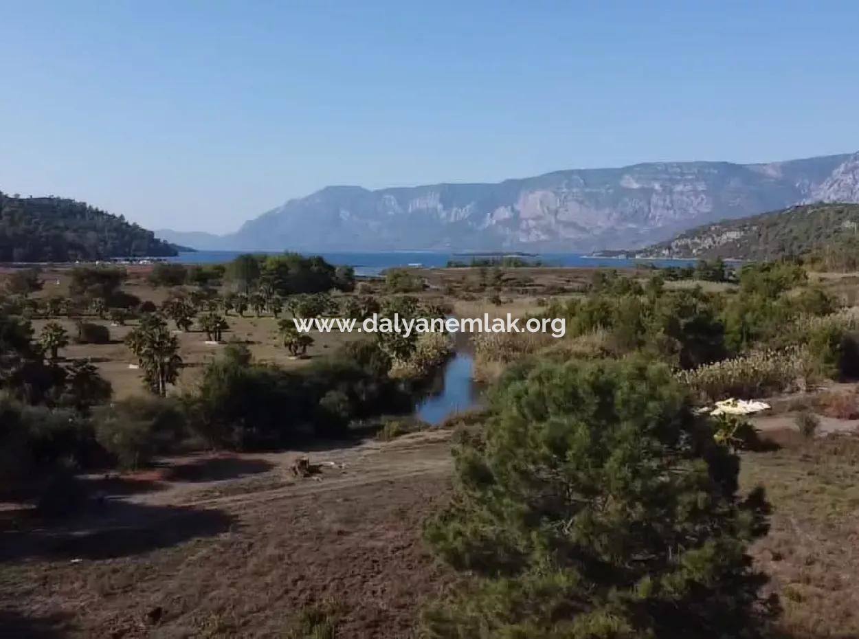 Land Land For Sale In Çamlıda Marmaris Çamlıda Sea View 11720M2 Land For Sale