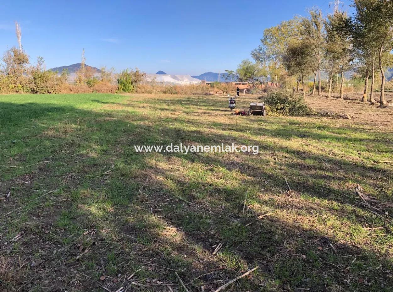 Land For Sale In Dalyan 2540M2
