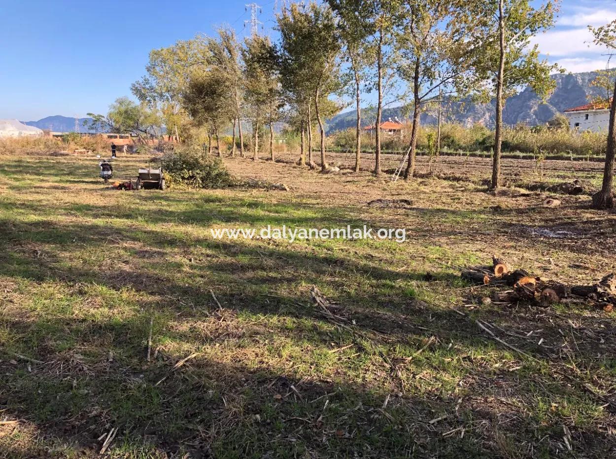 Land For Sale In Dalyan 2540M2