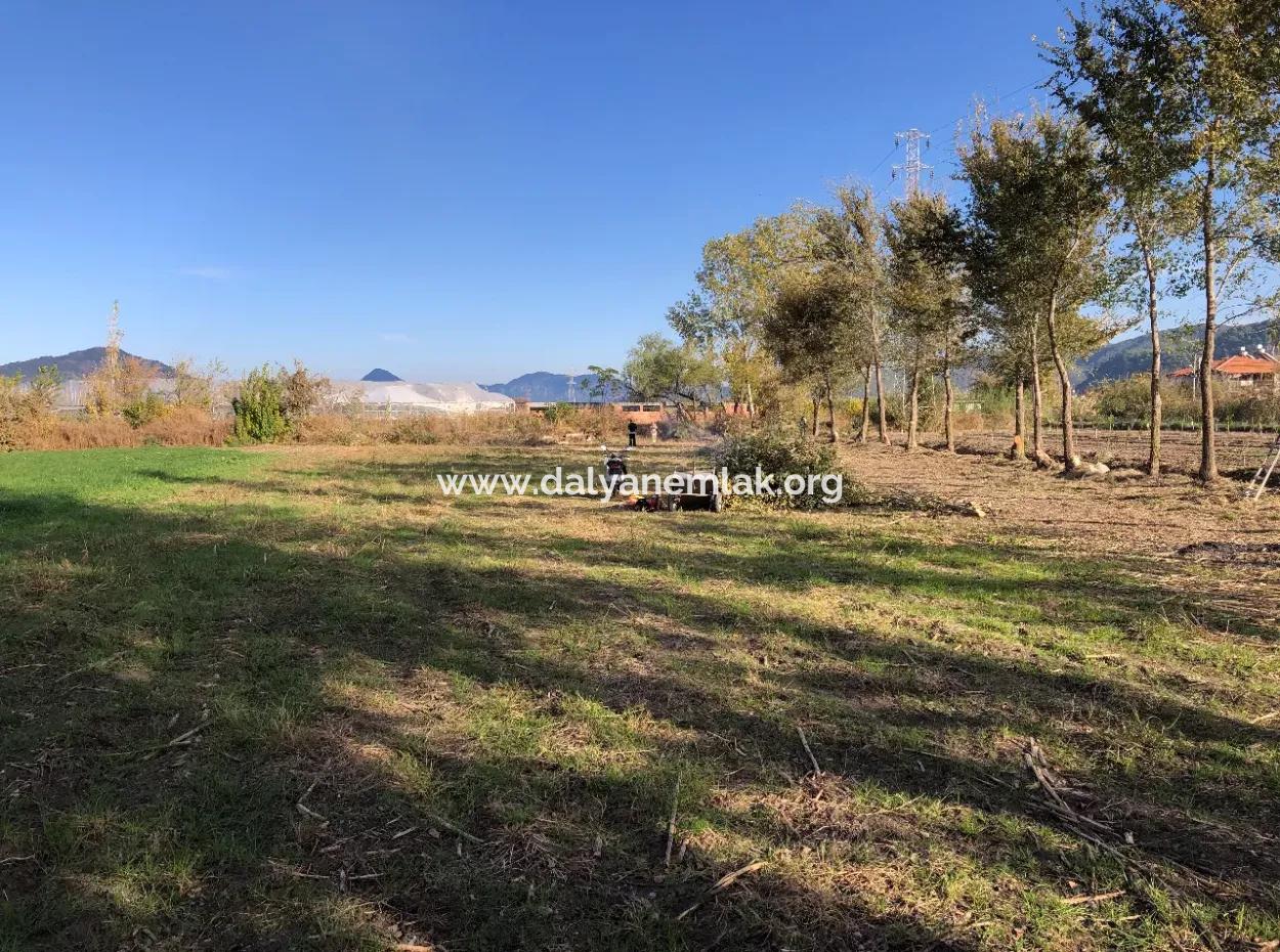 Land For Sale In Dalyan 2540M2