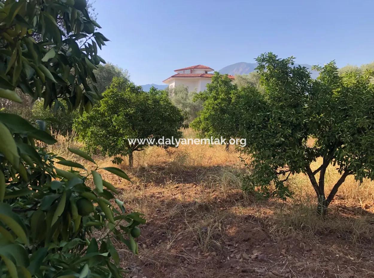 Land Field For Sale In Köyceğinz Yangi 9406M2 Land For Sale