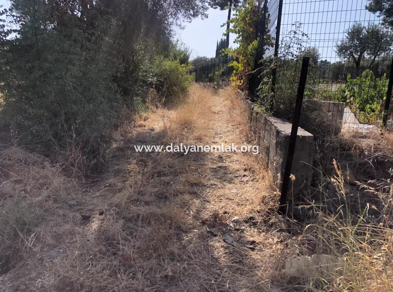 Land Field For Sale In Köyceğinz Yangi 9406M2 Land For Sale