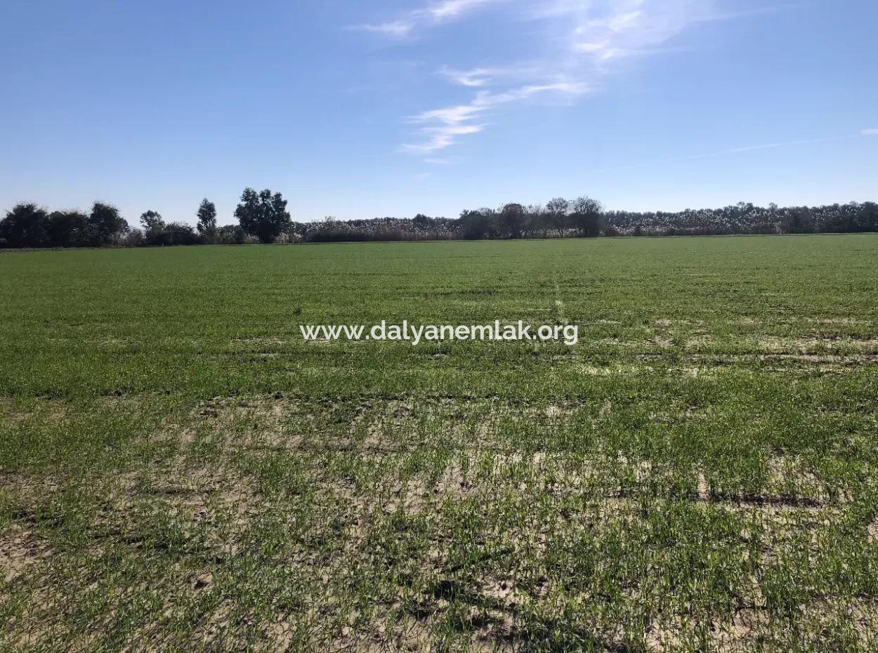 Land For Sale In Sarıgermede 30,000M2 Land For Sale With Sea View