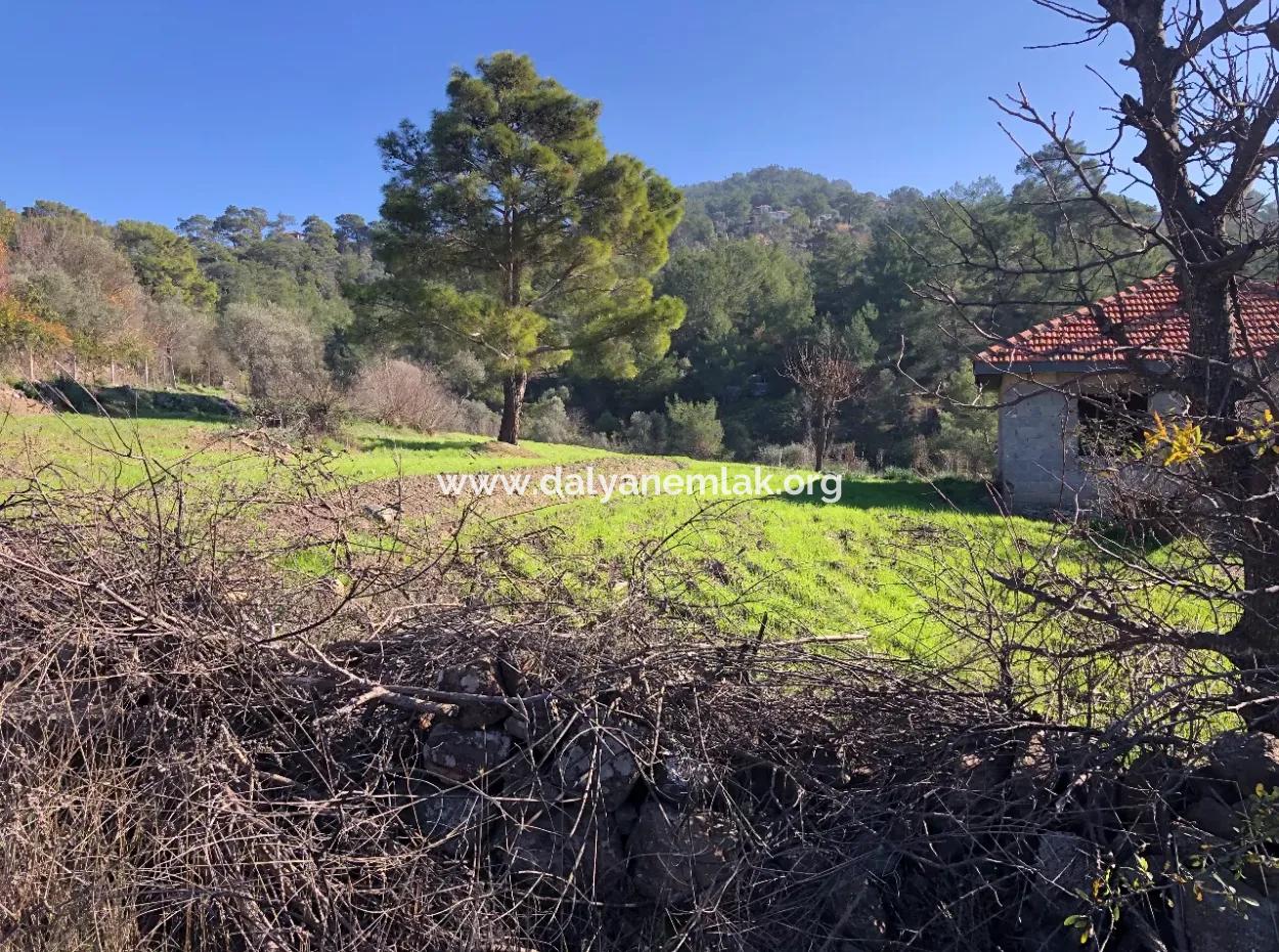 Gokbel Land For Sale 8000M2 Land For Sale With Full Sea View