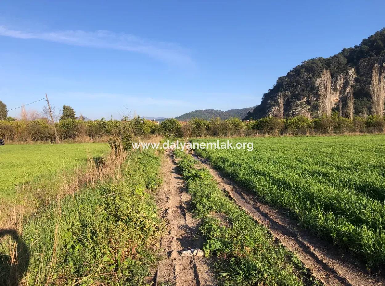 Land For Sale Marmarli 1500M2 Land For Sale