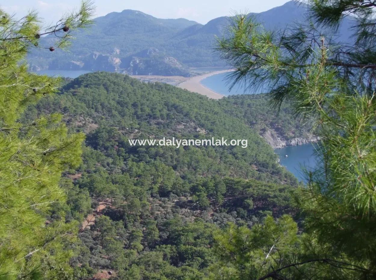 Real Estate Bargain Plot For Sale With Sea Views In Çandır Call In Ekincik