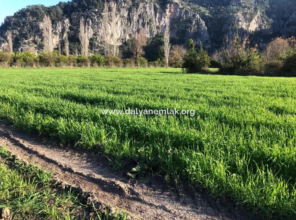 Land For Sale Marmarli 1500M2 Land For Sale