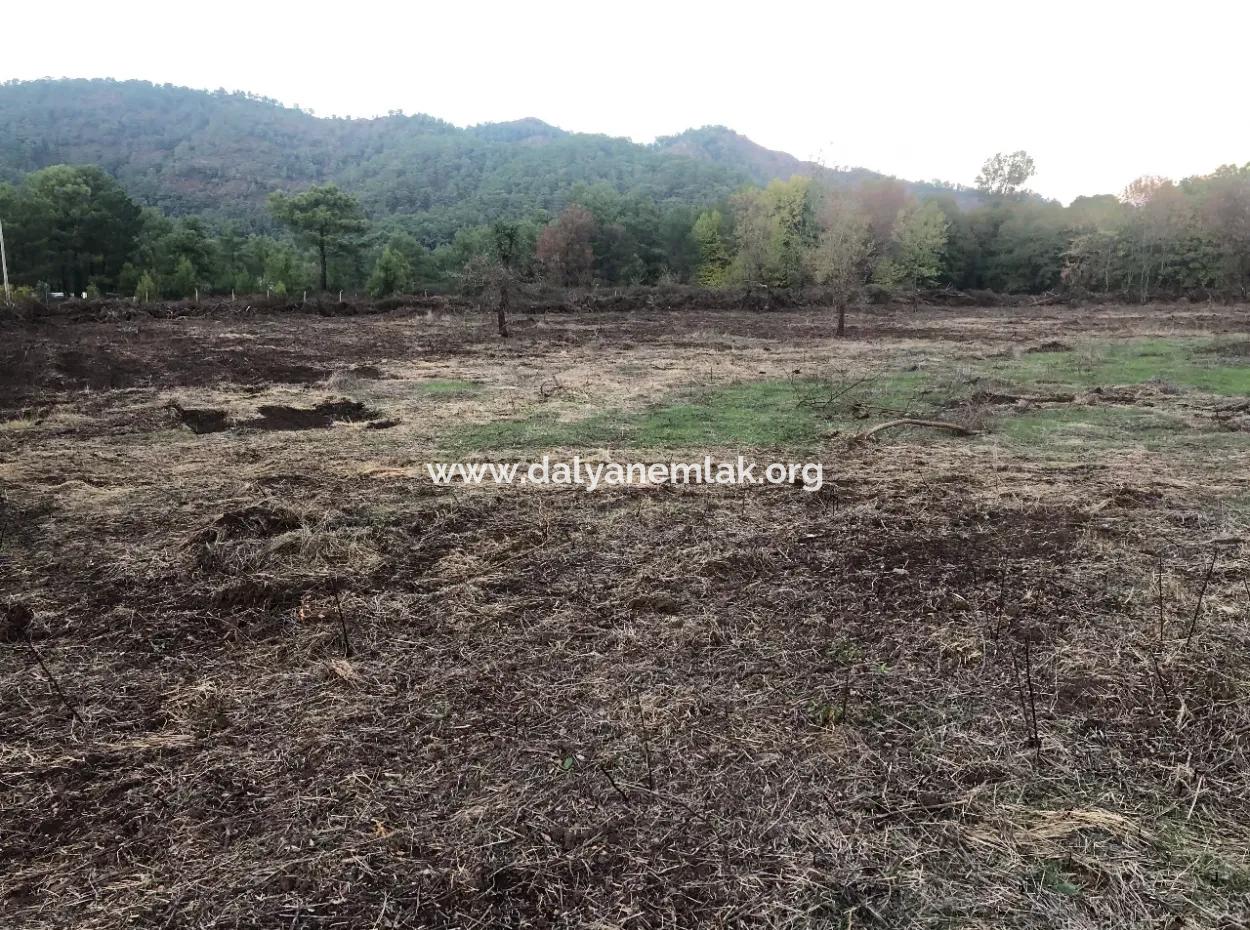 Sultaniye Land For Sale Near 10577M2 Lake Land For Sale