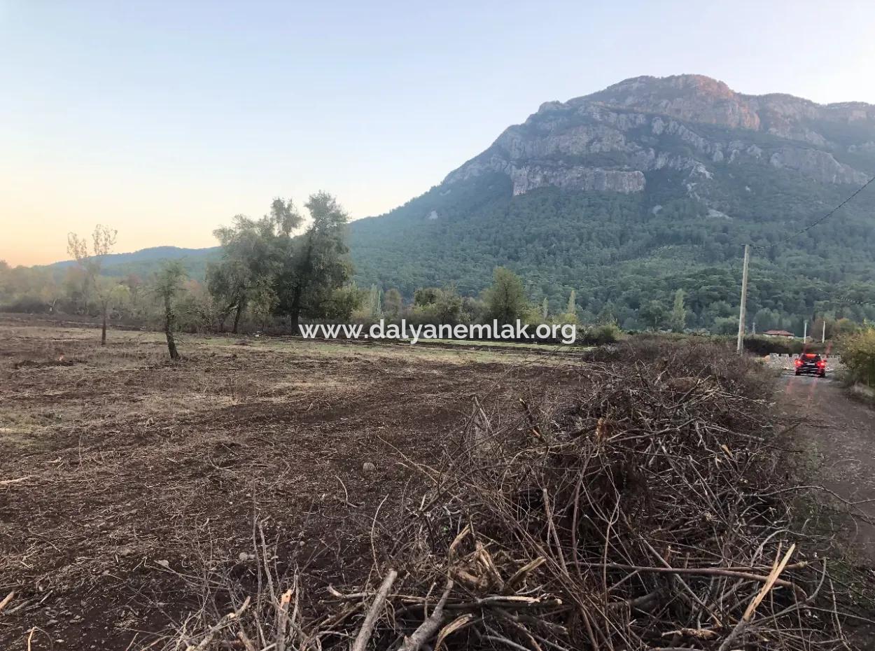Sultaniye Land For Sale Near 10577M2 Lake Land For Sale