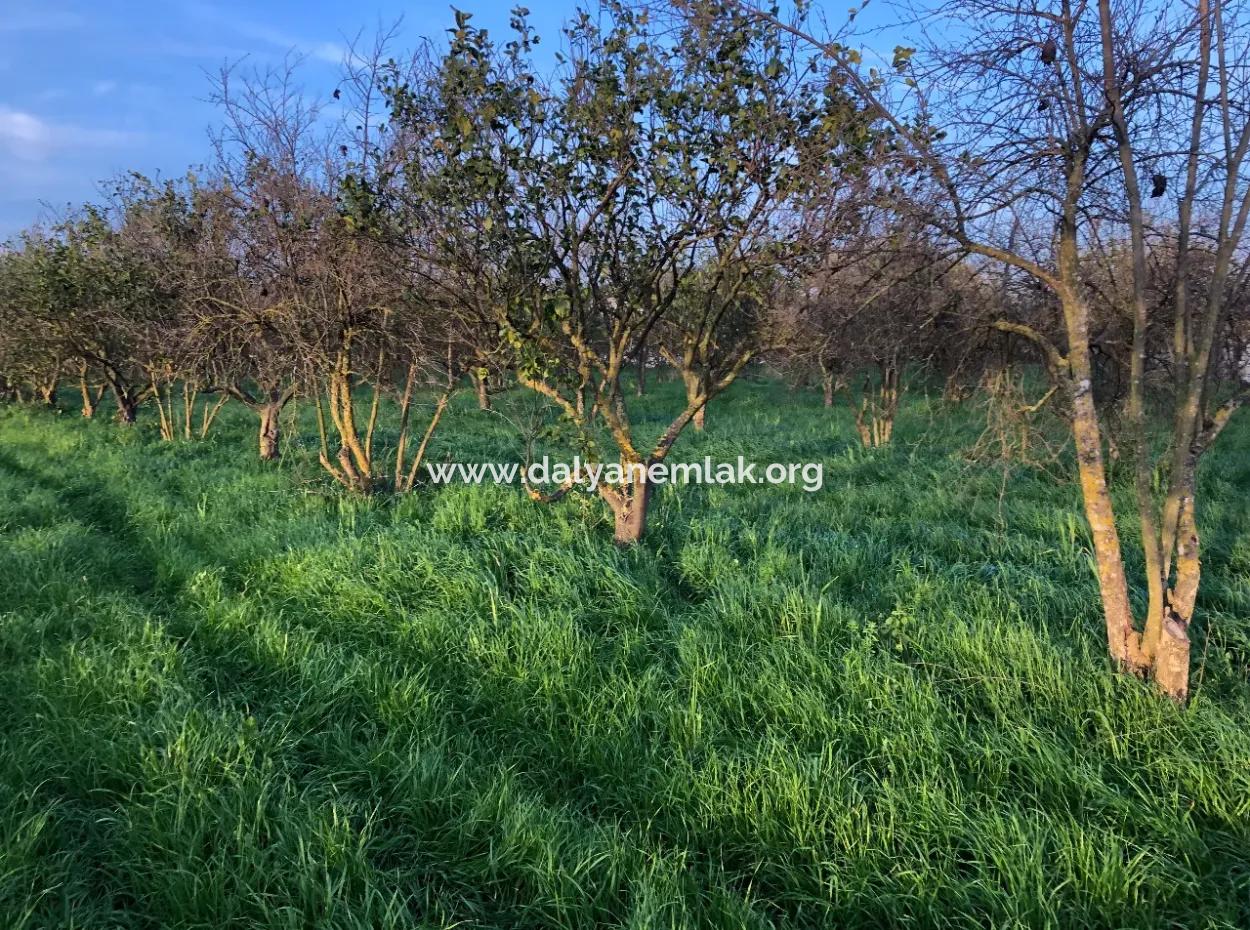 In Okçular Land For Sale 4707M2 Land For Sale