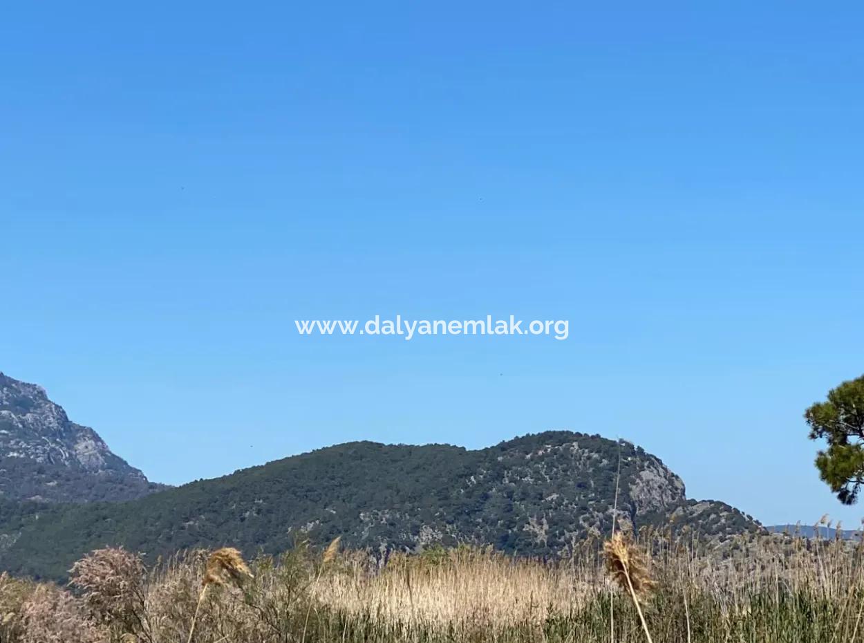 9310M2 Land For Sale In Dalyan