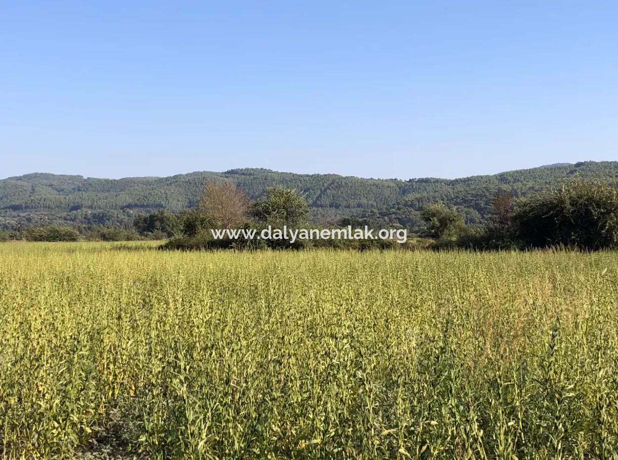 For Sale In Akçapinar 100 Acres For Sale