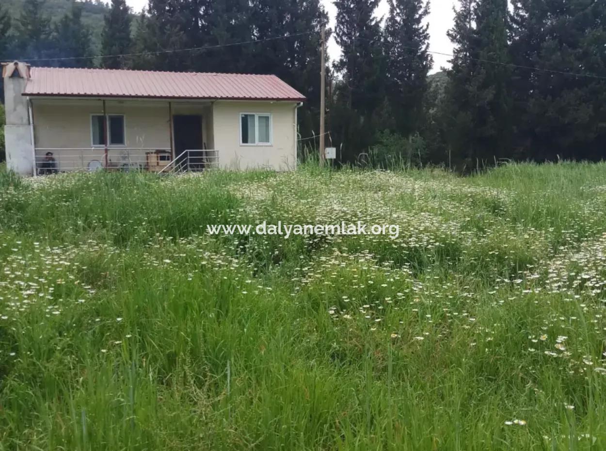 Land For Sale In Çamlida