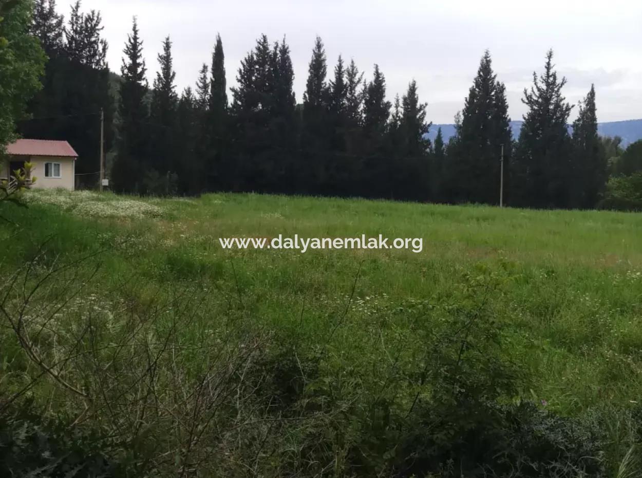 Land For Sale In Çamlida