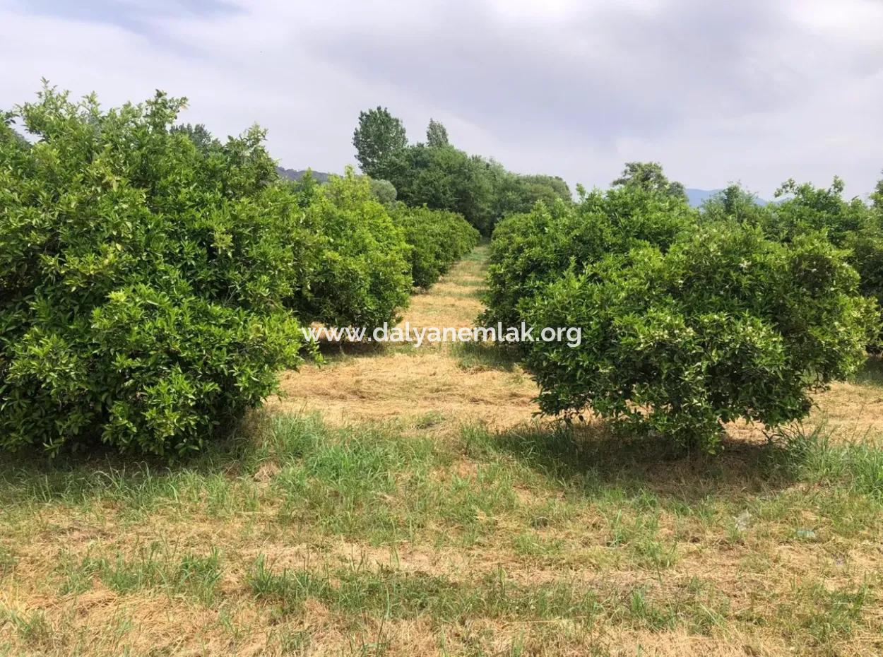 Land For Sale In Sourliyurtda 1085M2