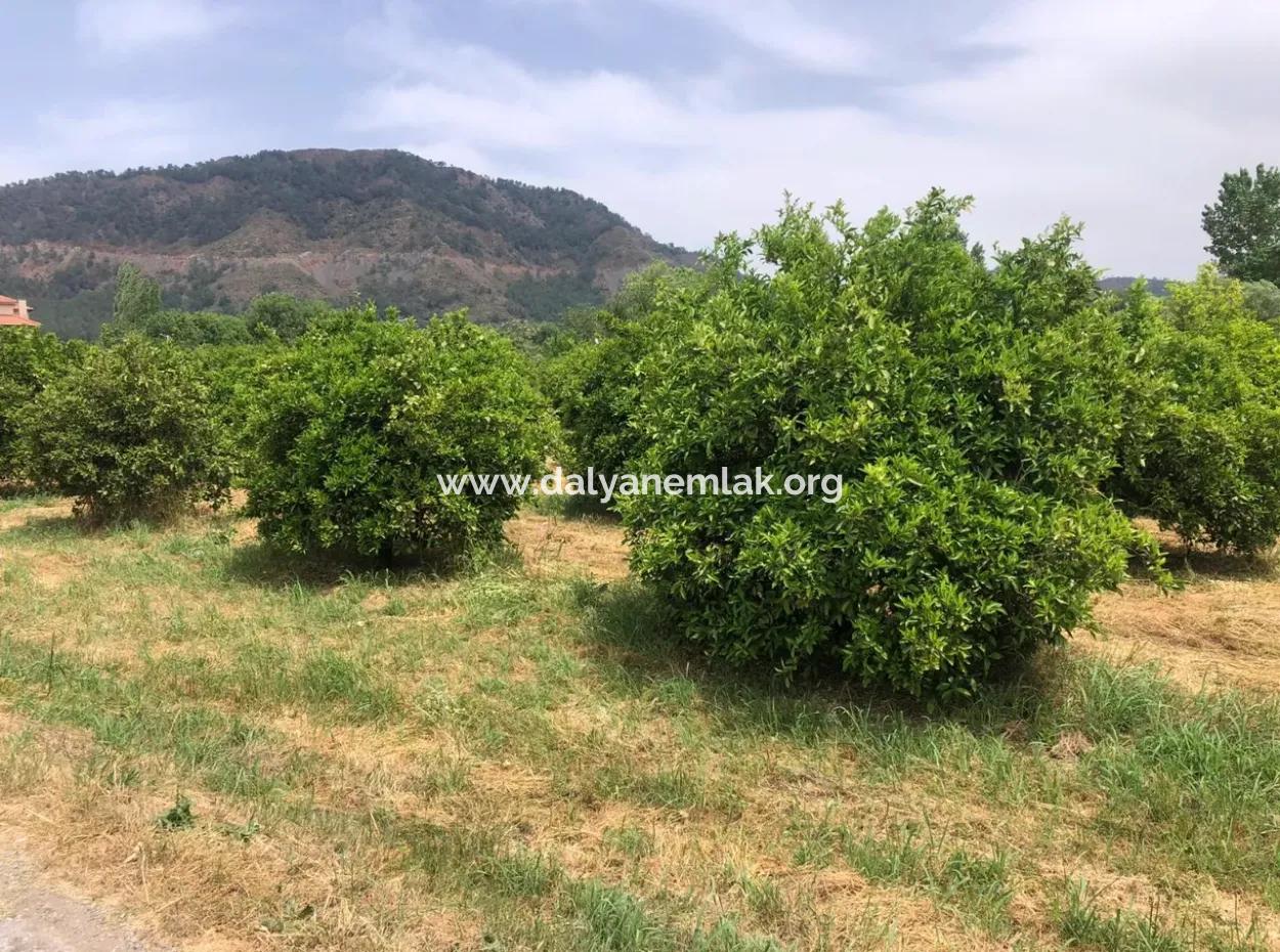 Land For Sale In Sourliyurtda 1085M2