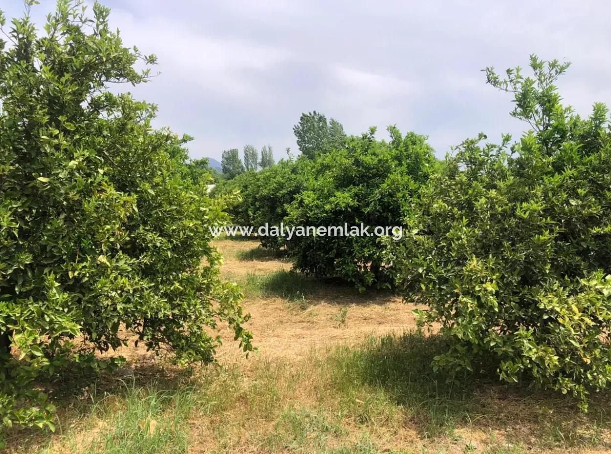 Land For Sale In Sourliyurtda 1085M2