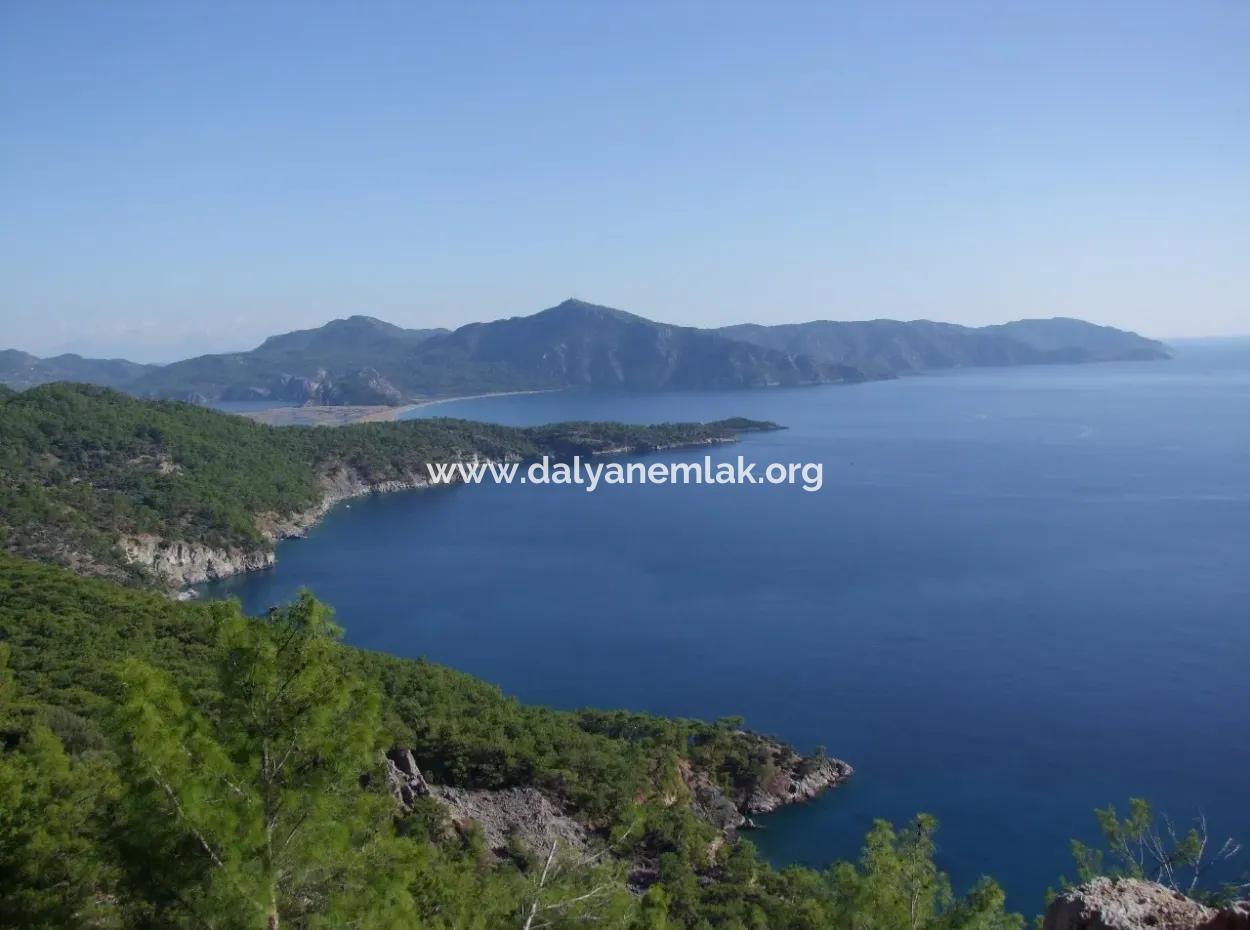 Real Estate Bargain Plot For Sale With Sea Views In Çandır Call In Ekincik