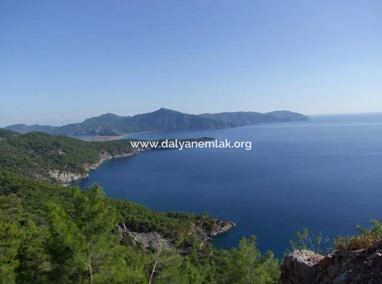 Real Estate Bargain Plot For Sale With Sea Views In Çandır Call In Ekincik