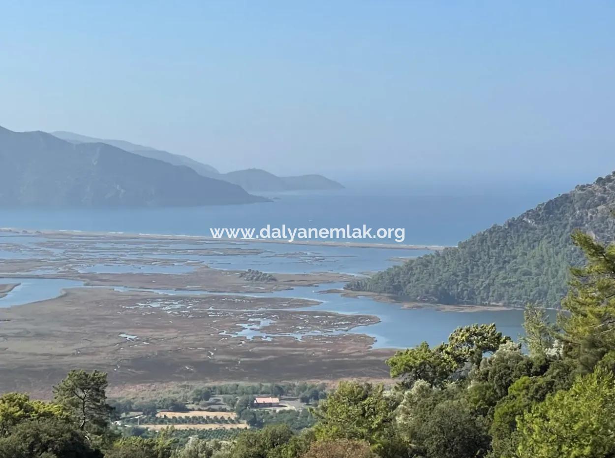 2620M2 Land Field For Sale With Sea View Of Çandir