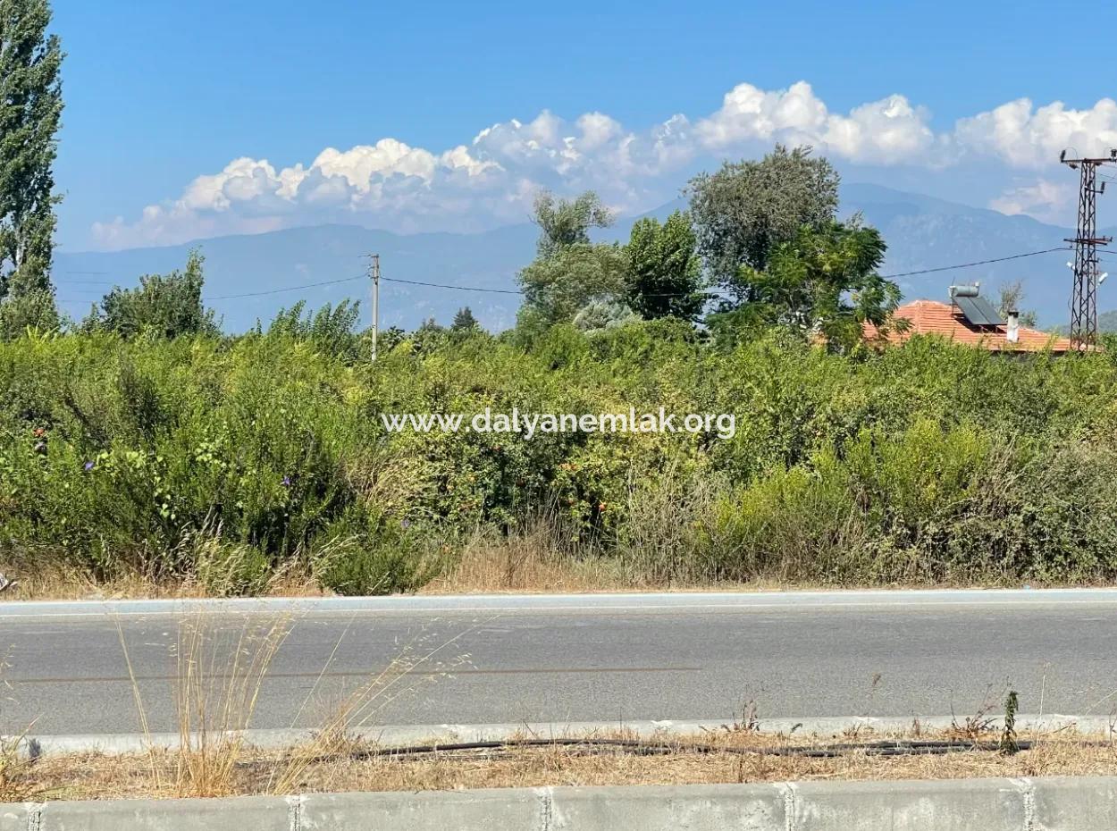 Dalyan Main Road Zero Land For Sale 8115M2 Commercial Land For Sale