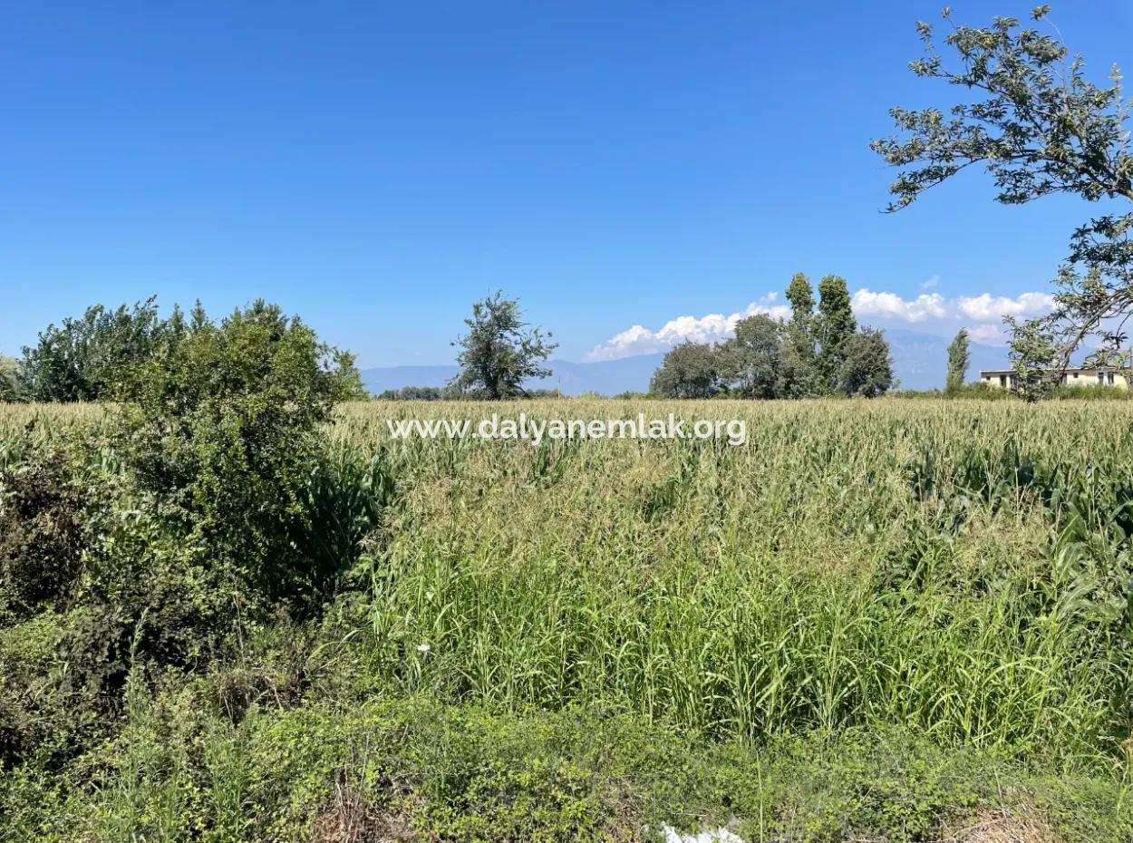 Dalyan Main Road Zero Land For Sale 8115M2 Commercial Land For Sale