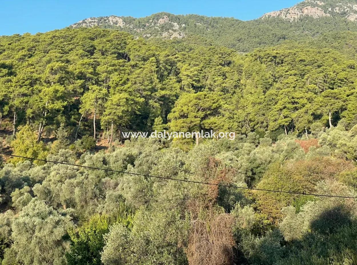 Çandir 3,800M2 Land For Sale