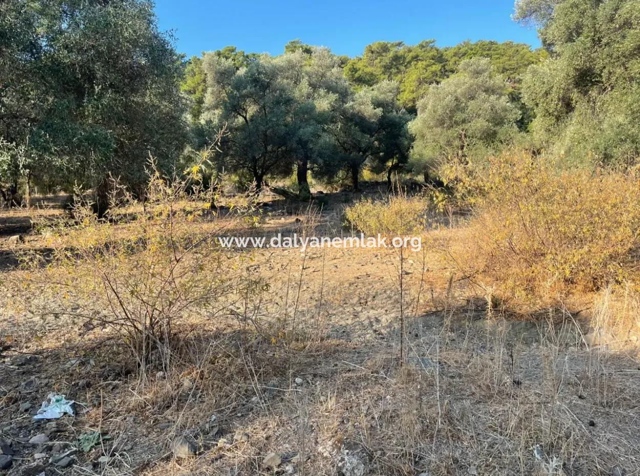 Çandir 3,800M2 Land For Sale