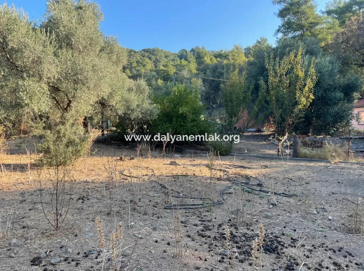 Çandir 3,800M2 Land For Sale
