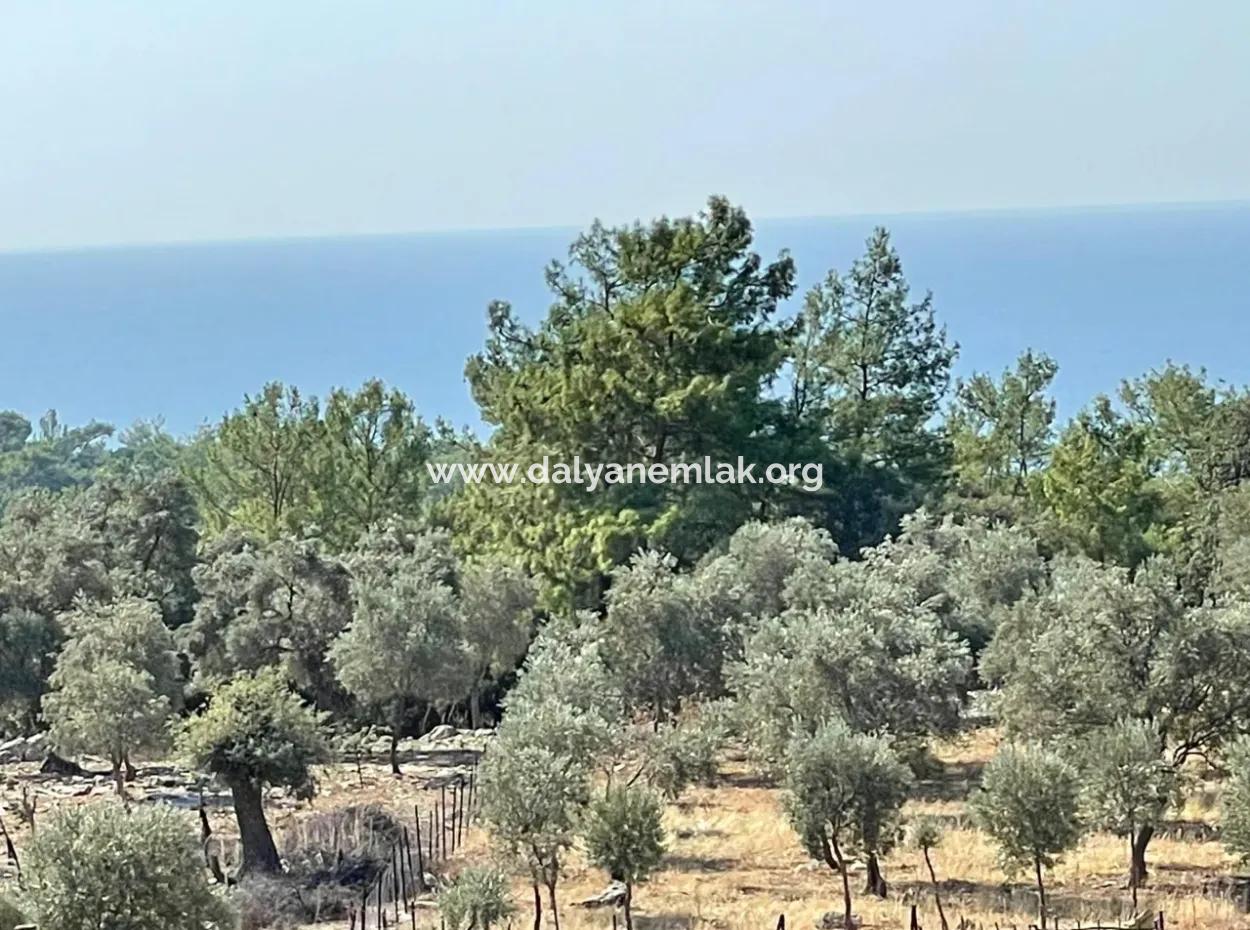 Land For Sale With Sea View Of Çandir