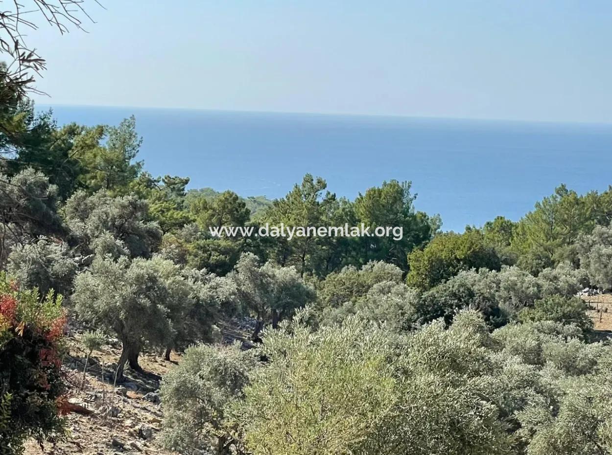 Land For Sale With Sea View Of Çandir