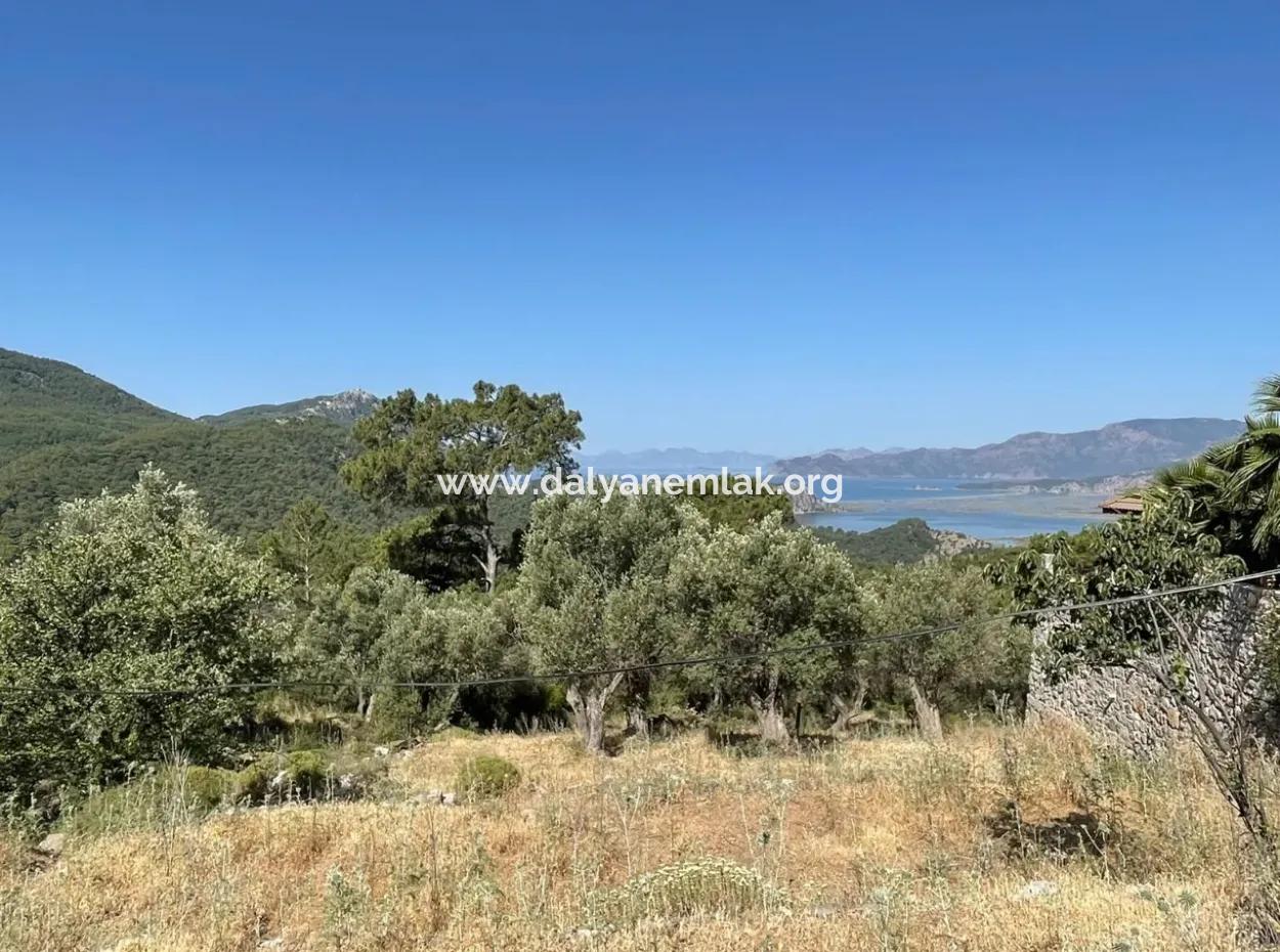 Land For Sale With Sea View In Gokbel