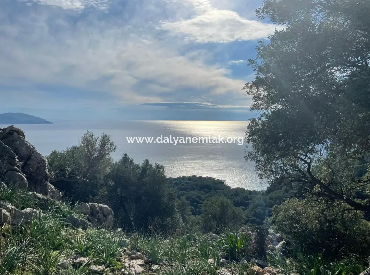 8,900M2 Field For Sale With Full Sea View In Ekincik