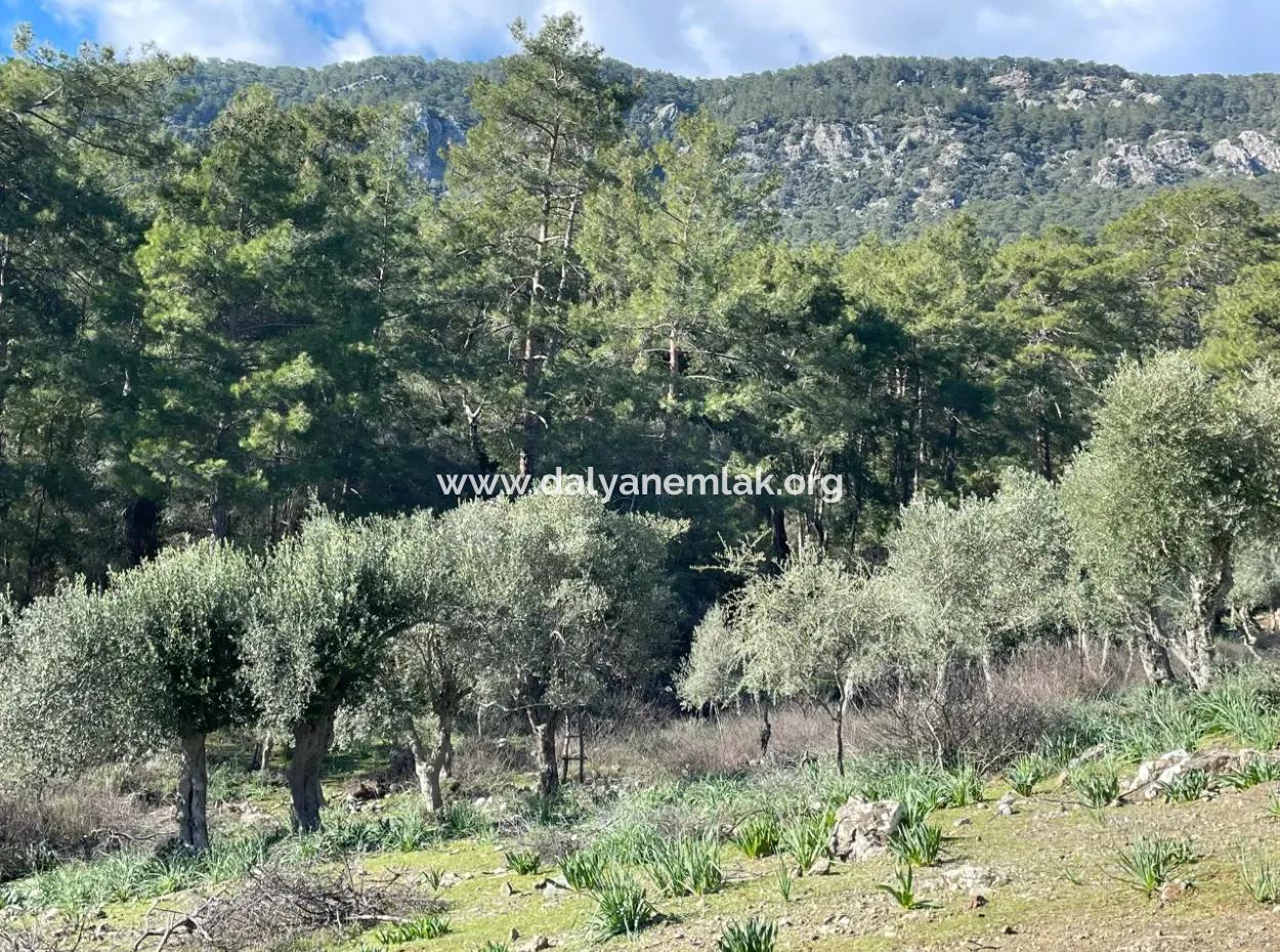 4000M2  For Sale With Lake View In Çandir