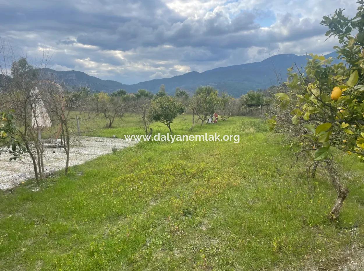 Dalyan Boutique Hotel For Sale Bungolevler For Sale In 11.000M2 Plot