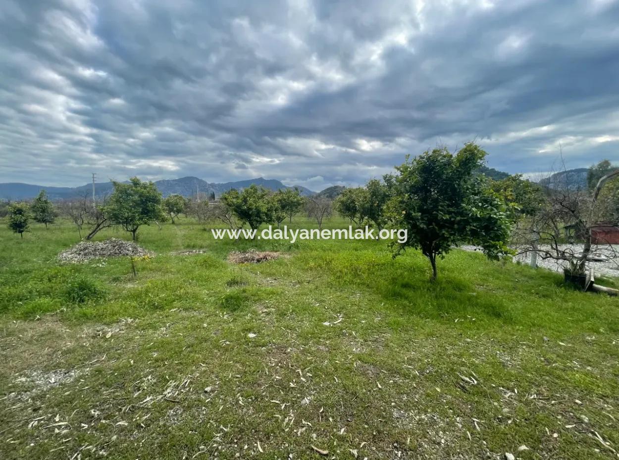 Dalyan Boutique Hotel For Sale Bungolevler For Sale In 11.000M2 Plot