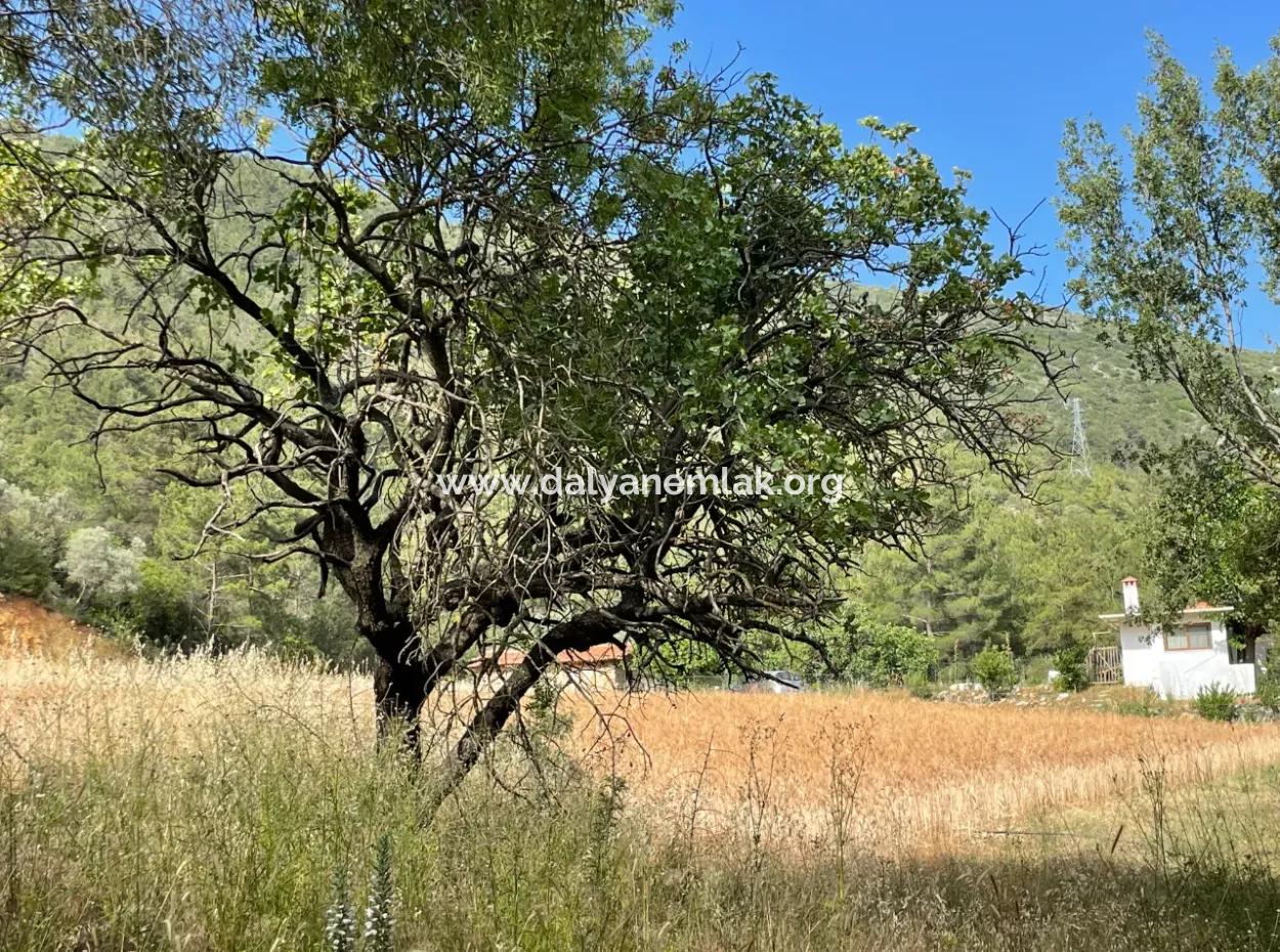 Land For Sale In Ula Armutchuk With 501M2 Zoning