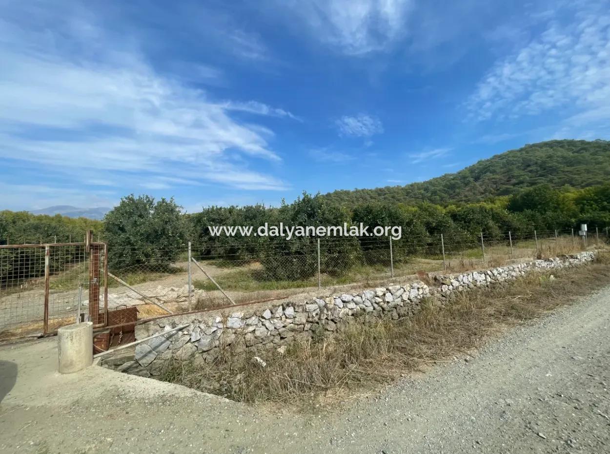 4000M2 Land For Sale Zoned In Village Built-Up Area In Tepearasin
