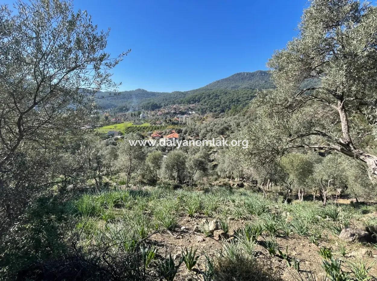 950M2 2B Field For Sale With Sea And Lake View In Çandır