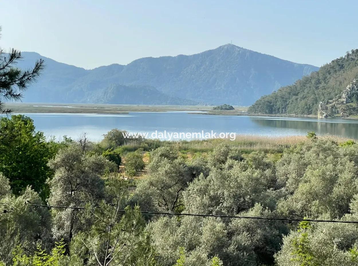 1,136M2 Field Plot For Sale With Çandır Lake View
