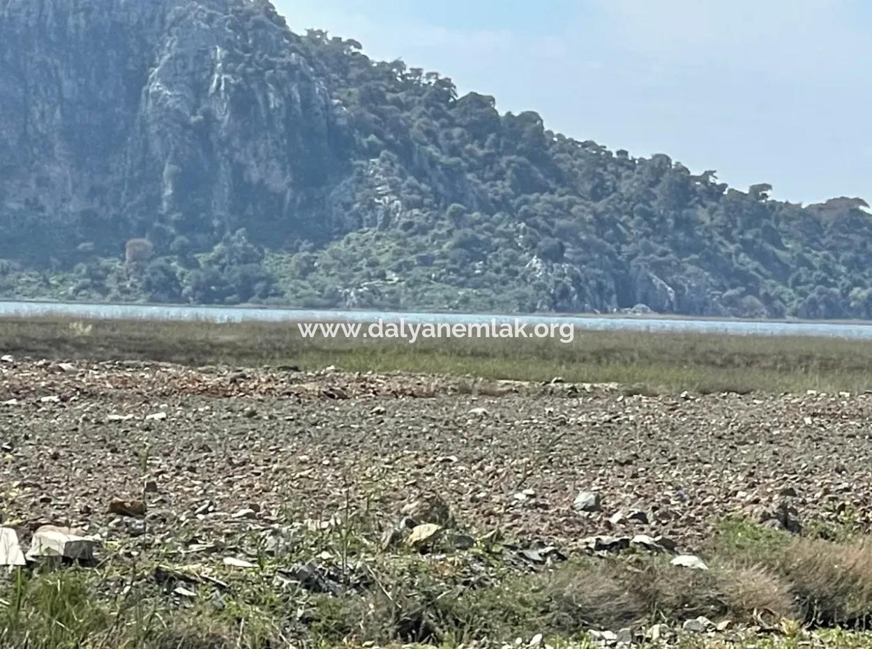 Dalyan Iztuzu Beach Road Zero 19,600M2 Field Land For Sale