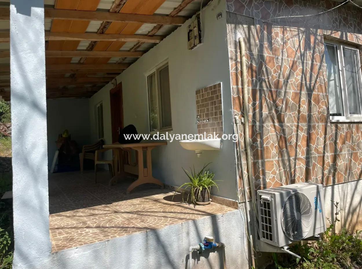 Village House For Sale In 5650M2 Field In Zeytinalann