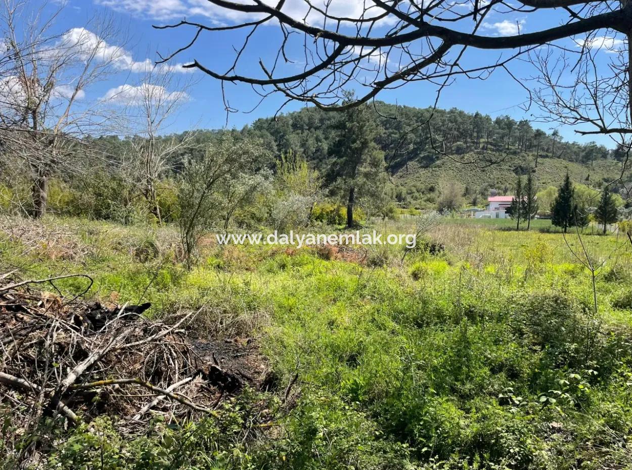 Village House For Sale In 5650M2 Field In Zeytinalann