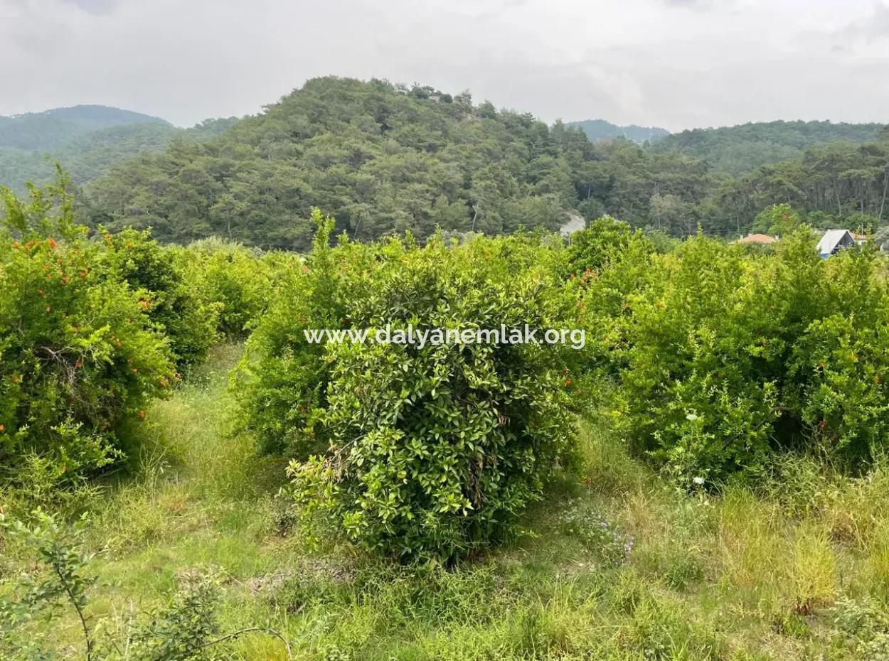 Gökbelde 14,000M2 Field For Sale